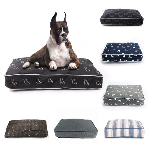 Pet Products Dog