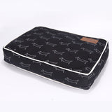 Pet Products Dog