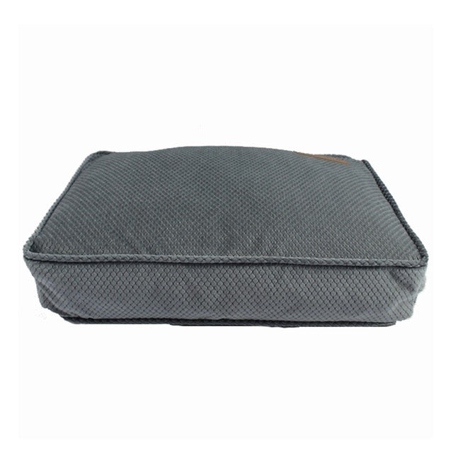 Pet Products Dog