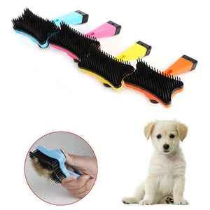 New 2019 Pet Dog