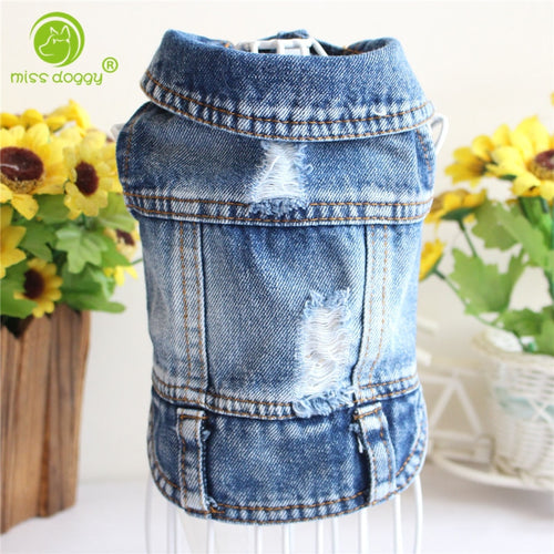 New 2019 Denim Pet Dog Clothes