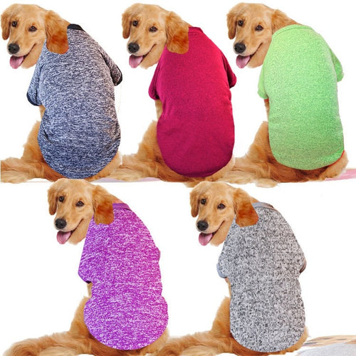 Big Dog Clothes Winter
