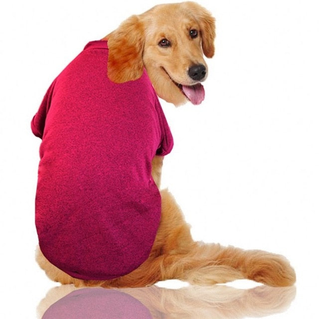 Big Dog Clothes Winter