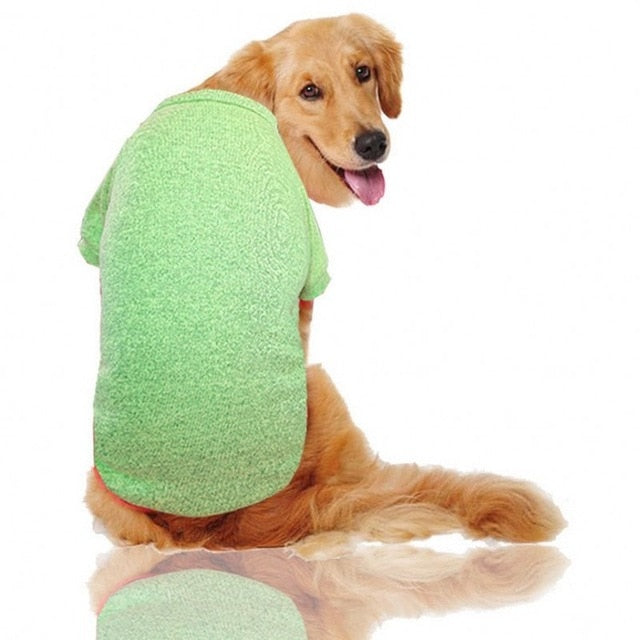 Big Dog Clothes Winter