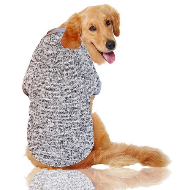 Big Dog Clothes Winter