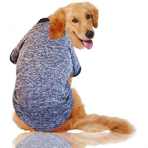 Big Dog Clothes Winter
