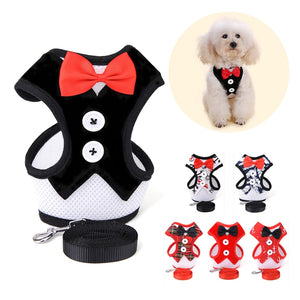 Mesh Small Dog