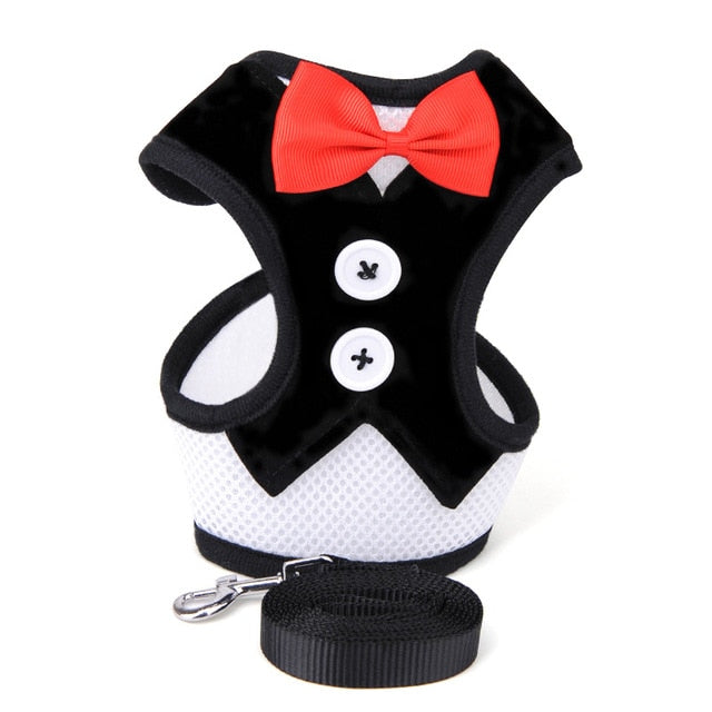 Mesh Small Dog