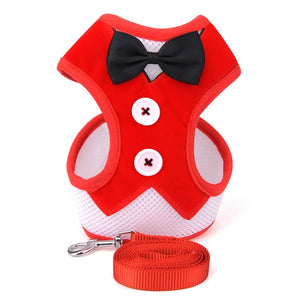 Mesh Small Dog