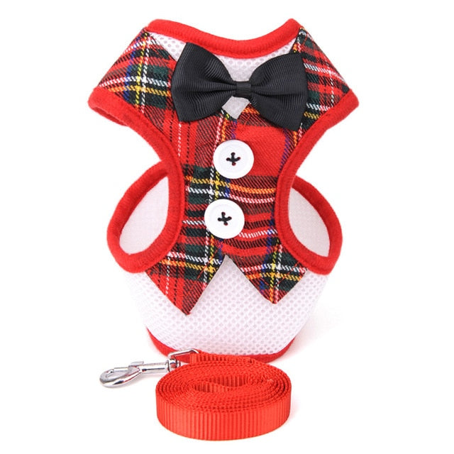 Mesh Small Dog