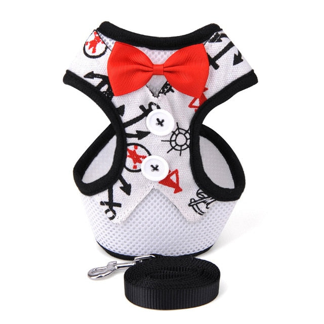 Mesh Small Dog