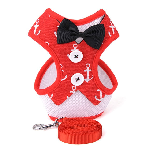 Mesh Small Dog