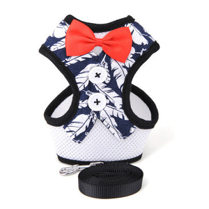 Mesh Small Dog