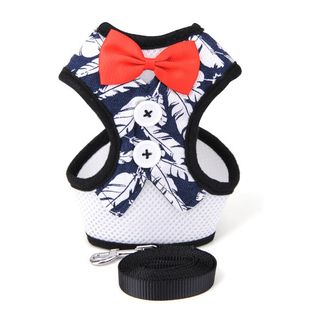 Mesh Small Dog