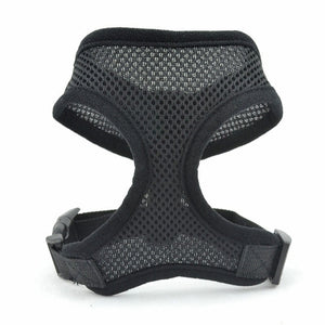 Mesh Small Dog