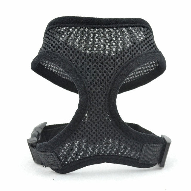 Mesh Small Dog