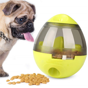 Interactive Dog