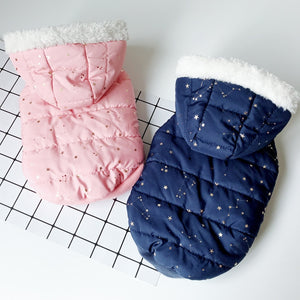 Dog clothes autumn and winter