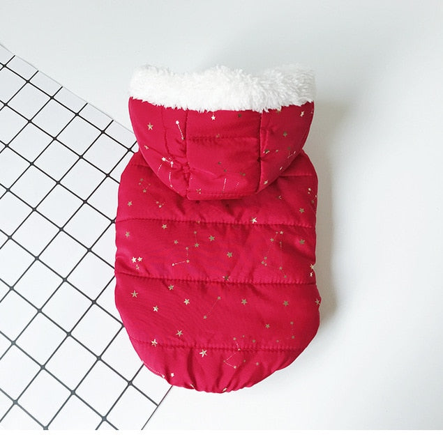 Dog clothes autumn and winter