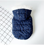 Dog clothes autumn and winter