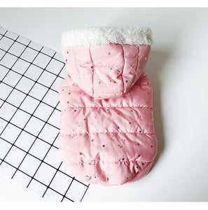 Dog clothes autumn and winter
