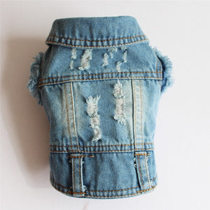 New 2019 Denim Pet Dog Clothes
