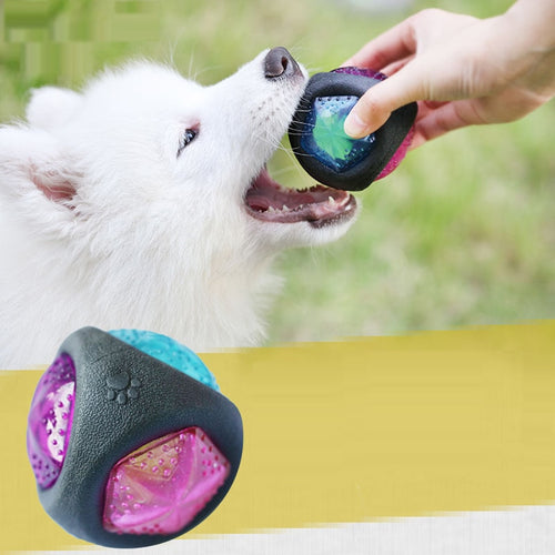 Luminous Dog Toy