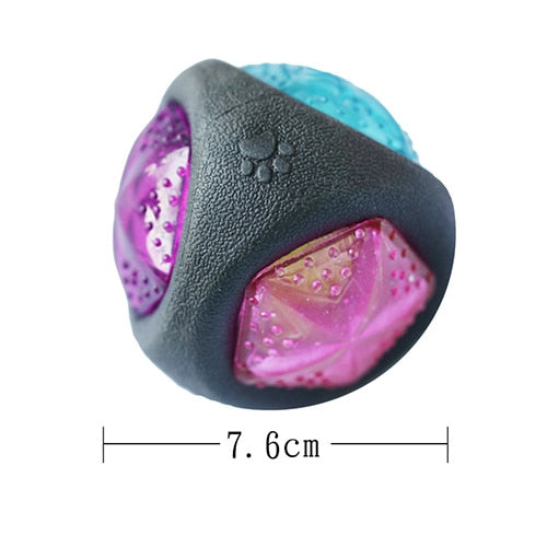 Luminous Dog Toy