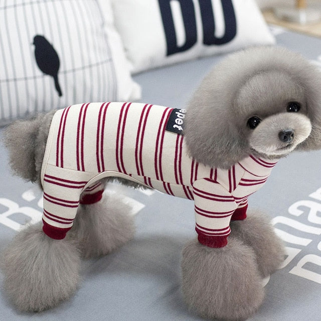 Spring Pet Dog Clothes