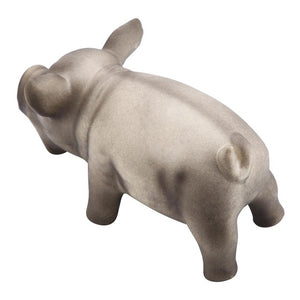 Cute Pig Grunting