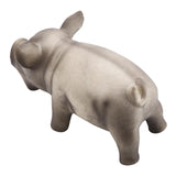 Cute Pig Grunting
