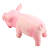 Cute Pig Grunting