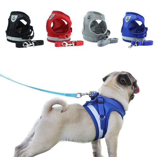 Dog Harness