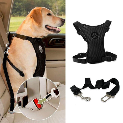 NEW Breathable Mesh Dog