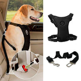 NEW Breathable Mesh Dog
