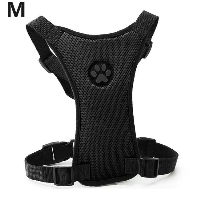NEW Breathable Mesh Dog