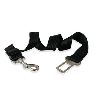 NEW Breathable Mesh Dog