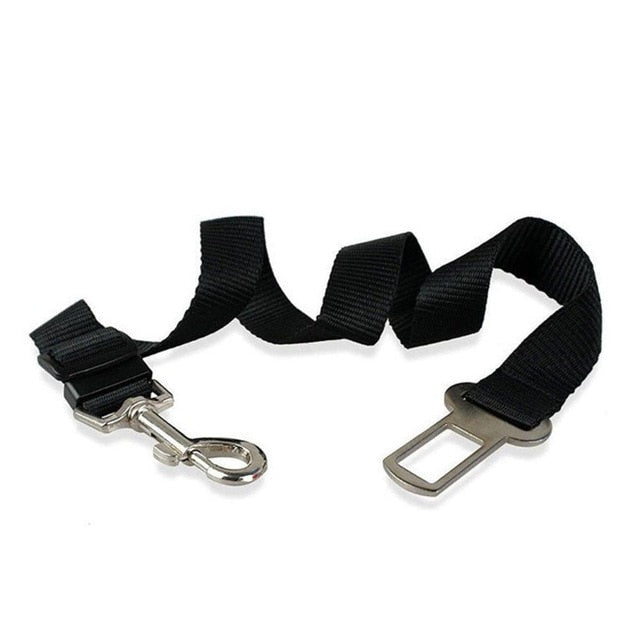 NEW Breathable Mesh Dog