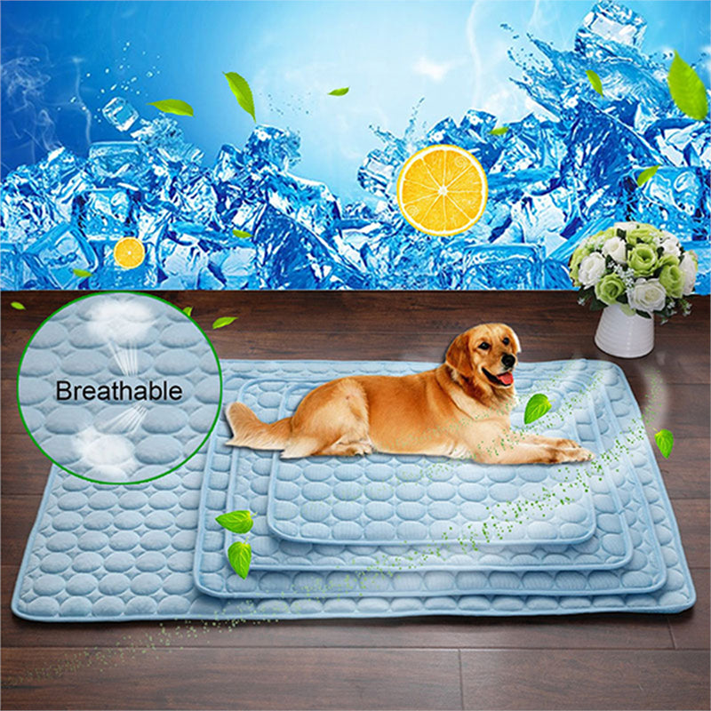 Hoomall Summer
