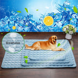 Hoomall Summer