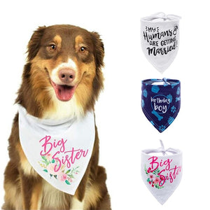 6 colors Dog Bandana