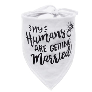 6 colors Dog Bandana