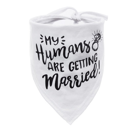 6 colors Dog Bandana