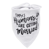 6 colors Dog Bandana