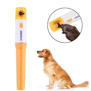 2019 Pet Dog