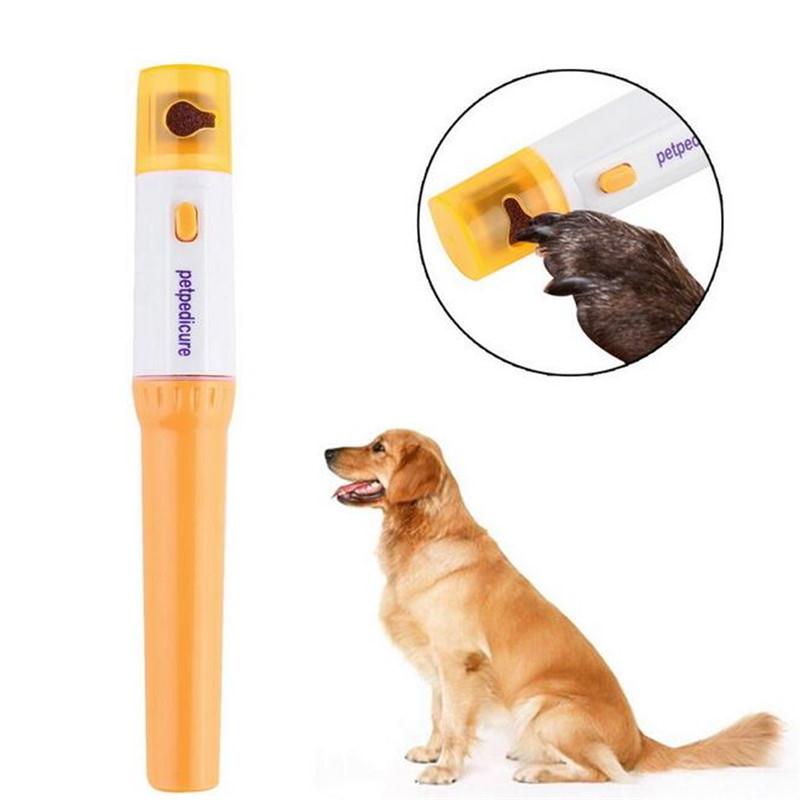 2019 Pet Dog