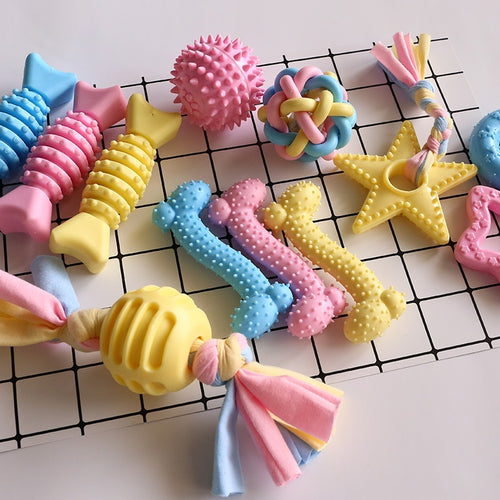 Pets Toothbrush toy dog