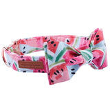 Watermelon Pink Cotton Fabric Dog
