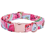 Watermelon Pink Cotton Fabric Dog