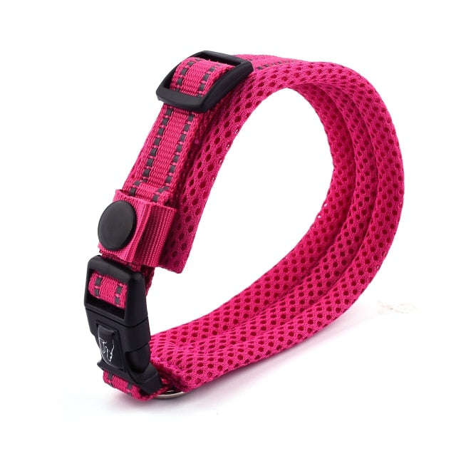 2019 New Nylon Dog Collars Comfortable